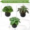 Set of 3 Mini Artificial Greenery Plants in Black Ceramic Pots – Faux Small Potted Plants for Home, Office Desk, Bathroom, Shelf & Farmhouse Decor